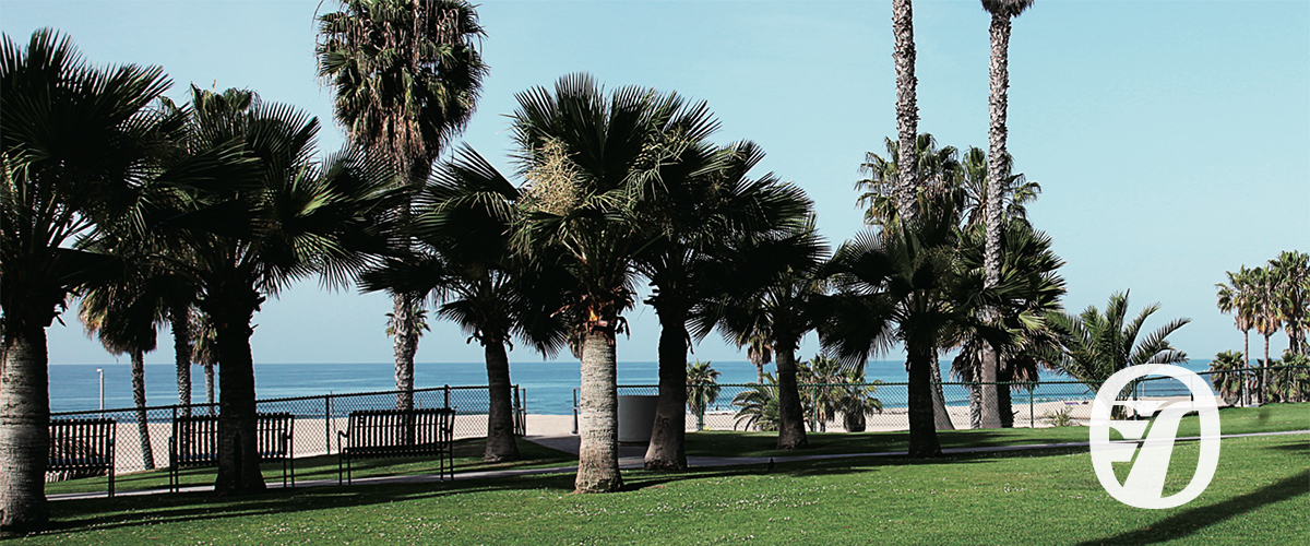 2026Rincon-custom-banner.jpg